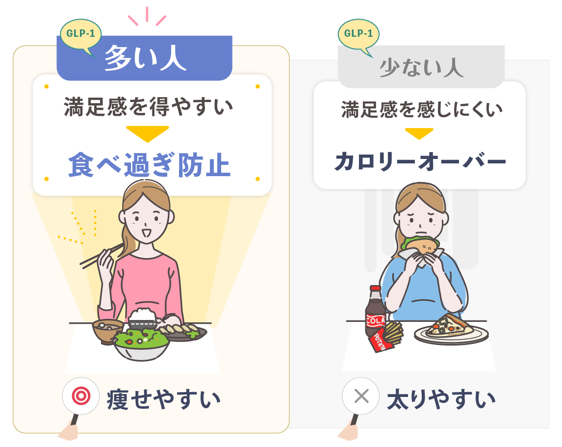 GLP-1が多い人、少ない人。
